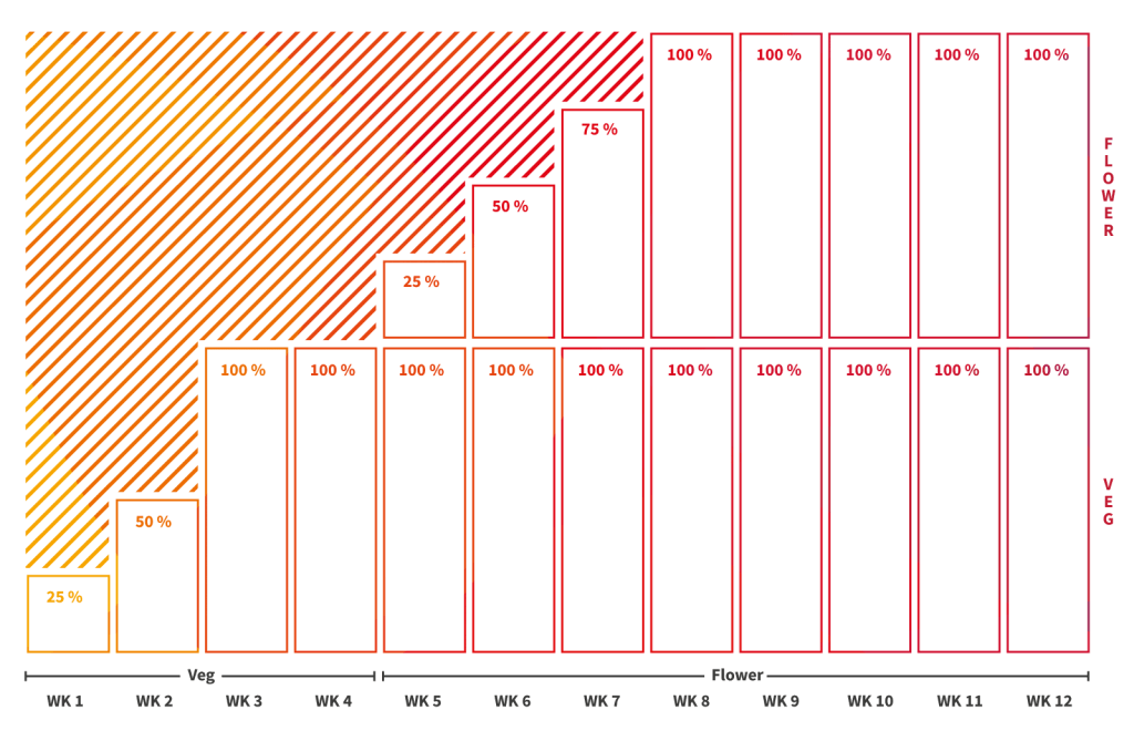dimmung_webseite-1024x669