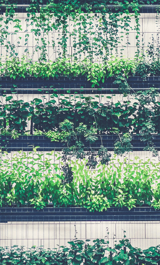 vertical_farming_1