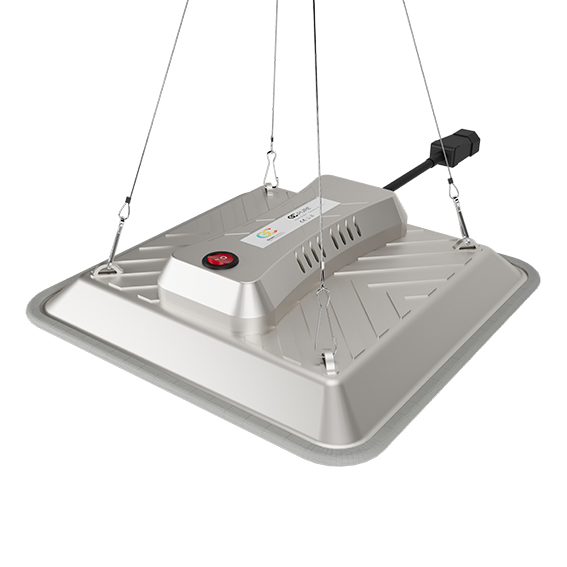 02 GC-pure_Produktbild Image