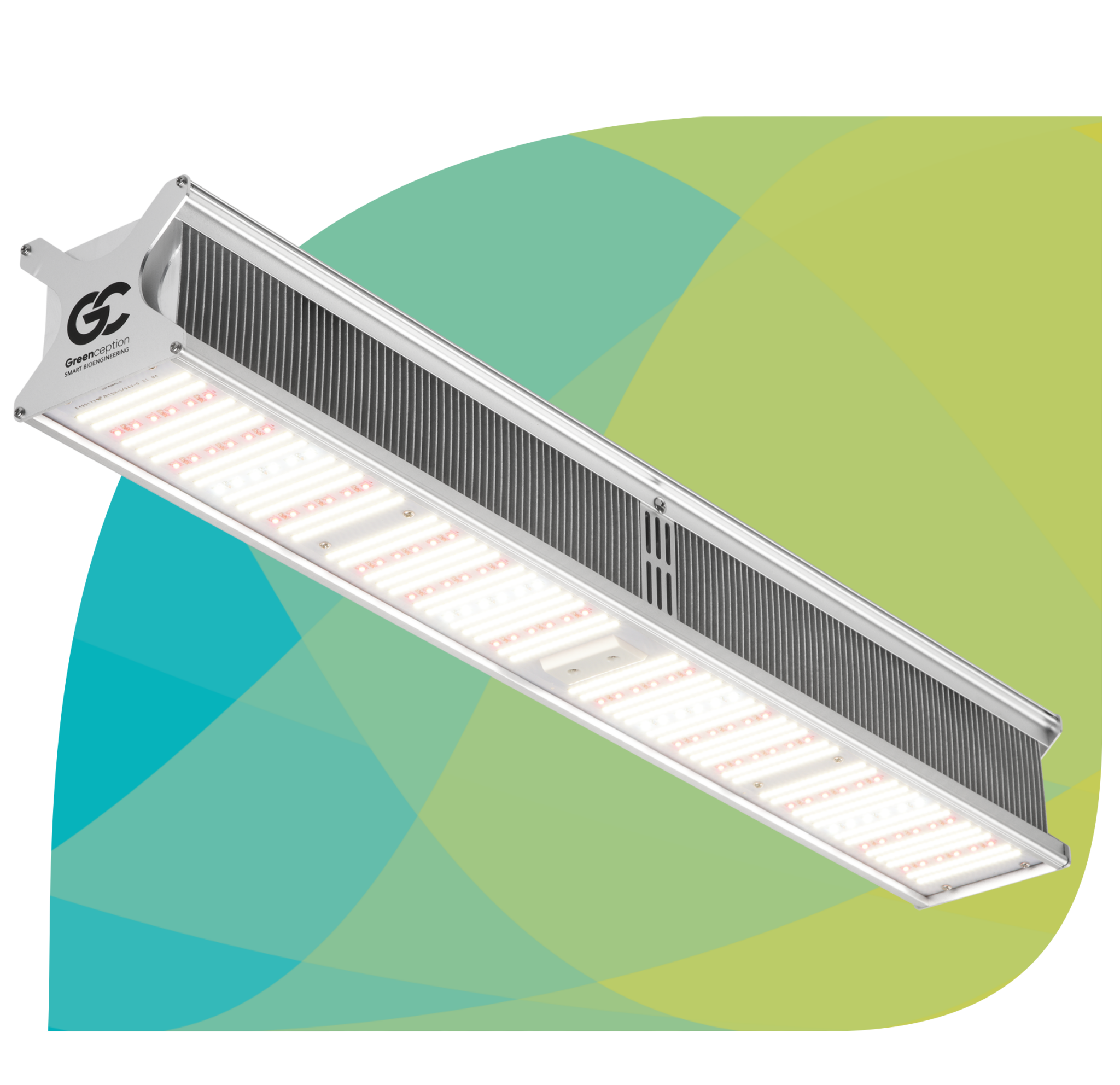 hortiproductleafshape5-2048x1984